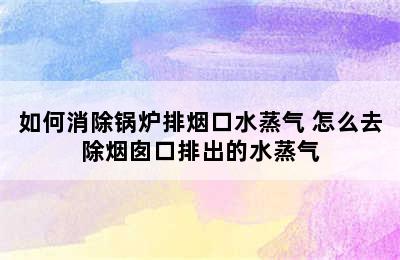 如何消除锅炉排烟口水蒸气 怎么去除烟囱口排出的水蒸气